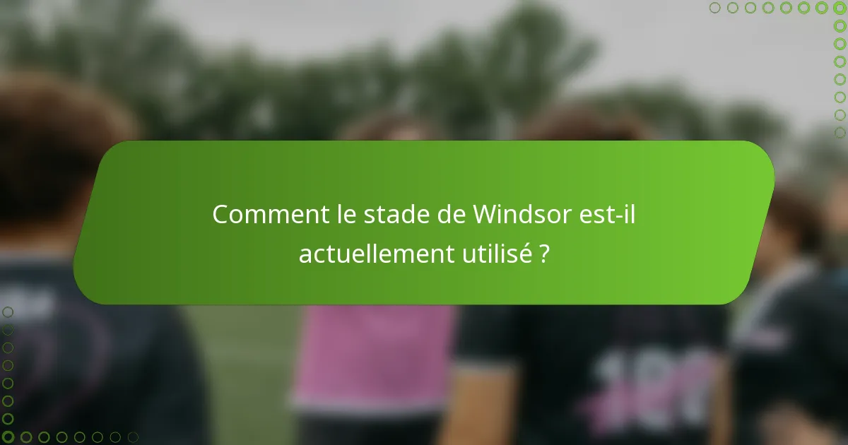 Comment le stade de Windsor est-il actuellement utilisé ?