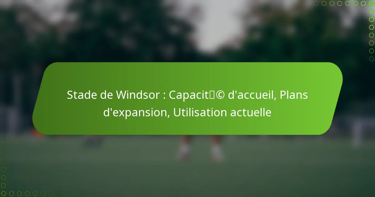 Stade de Windsor : Capacité d’accueil, Plans d’expansion, Utilisation actuelle