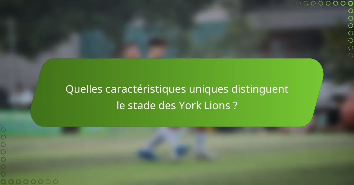 Quelles caractéristiques uniques distinguent le stade des York Lions ?