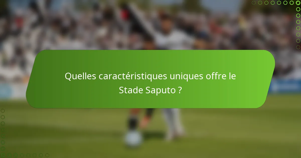 Quelles caractéristiques uniques offre le Stade Saputo ?
